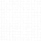 Cat Net Transparent Nylon