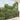 Cat Net Transparent 6x3 m Nylon