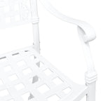 Garden Chair 2 pcs White 55 x 56.5 x 91cm Aluminium