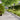 Lawn Edgings 30 pcs 15x103 cm Stainless Steel