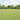 Field Fence Silver 50 x 0.8 m Galvanised steel