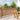 Brushwood Fence Brown 600 x 125 cm Brushwood