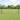 Welded Wire Fence Grey 0.8 x 25 m Steel