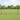 Welded Wire Fence Grey 1.2 x 50 m Steel