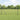 Welded Wire Fence Grey 1.2 x 50 m Steel