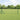 Euro Fence Green 0.8 x 10 m PVC-coated iron