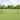 Euro Fence Green 0.8 x 10 m PVC-coated iron