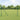 Euro Fence Green 1.6 x 10m PVC-coated iron