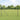 Euro Fence Black 1.6 x 10 m PVC-coated iron