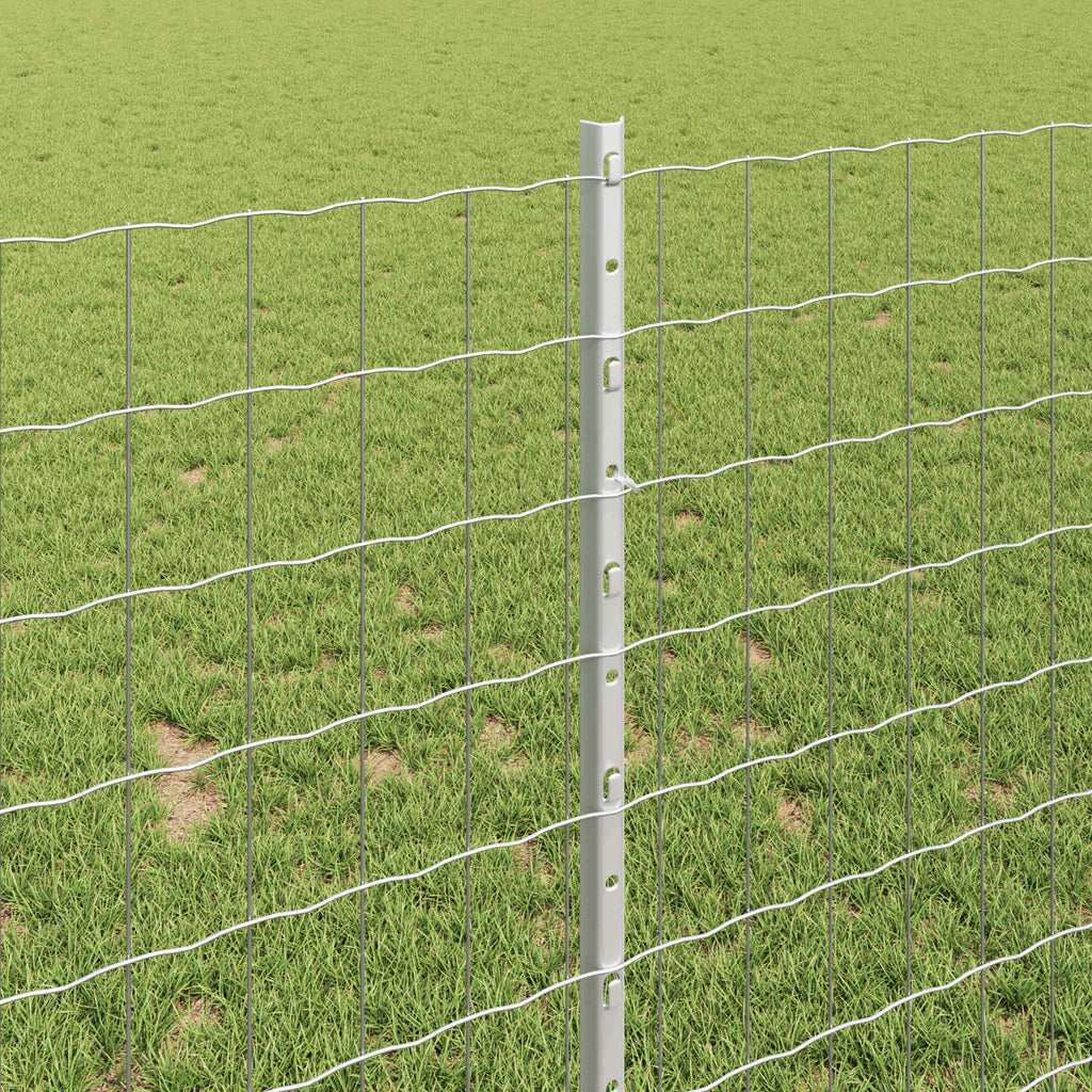 Fence with Post Silver 1 x 10 m Steel