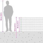 Fence with Post Silver 0.8 x 10 m Steel