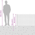 Fence with Post Silver 0.8 x 25 m Steel