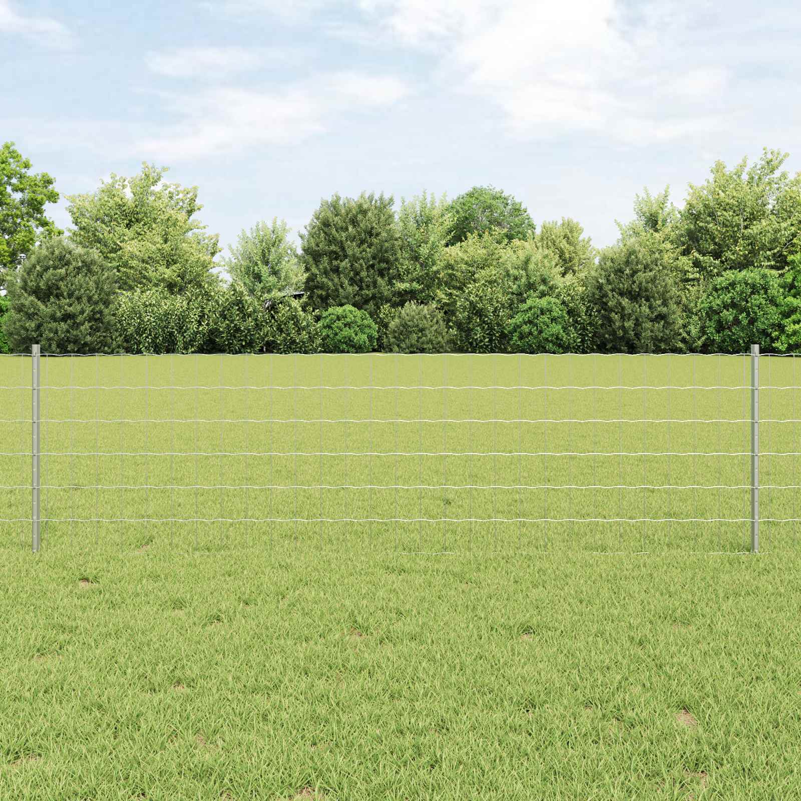 Fence with Post Silver 0.6 x 50 m Steel