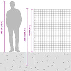 Fence with Post Silver 1.6 x 10 m Steel