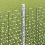Fence with Post Silver 1.2 x 50 m Steel