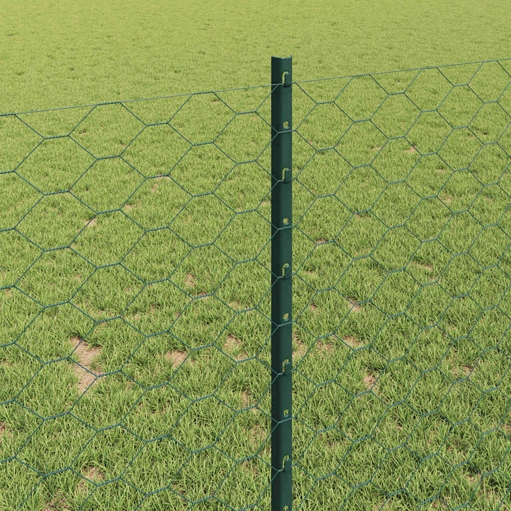 Fence with Post Green 1 x 50 m Steel and PVC