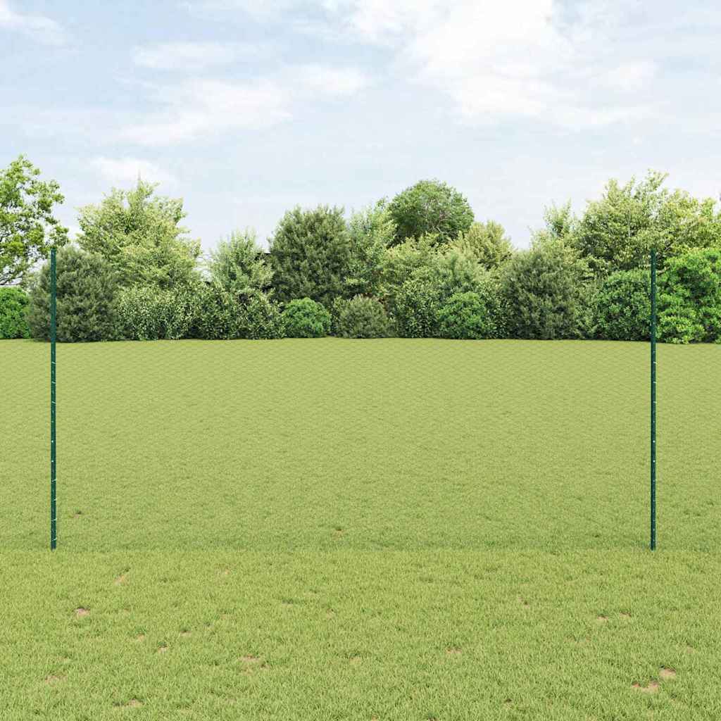 Fence with Post Green 1.6 x 100 m Steel and PVC