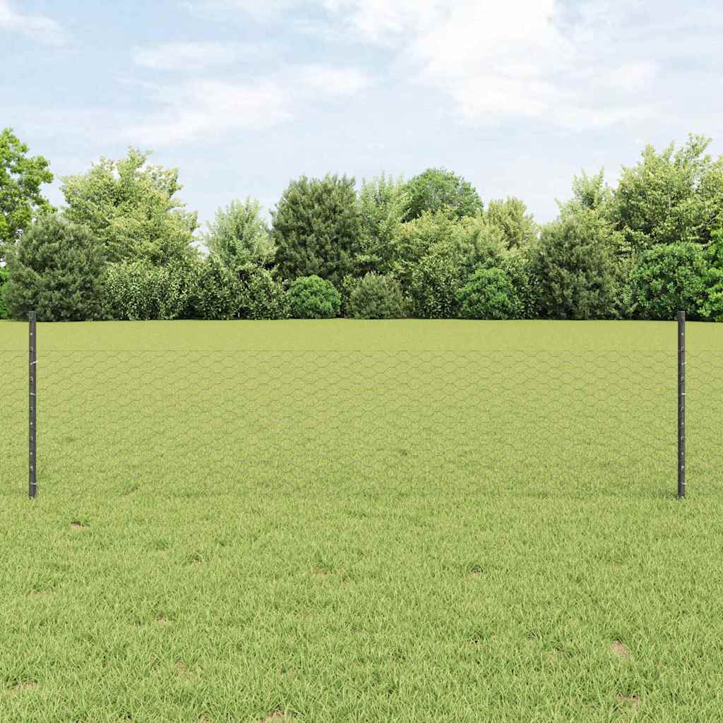 Fence with Post Grey 0.5 x 10 m Steel and PVC