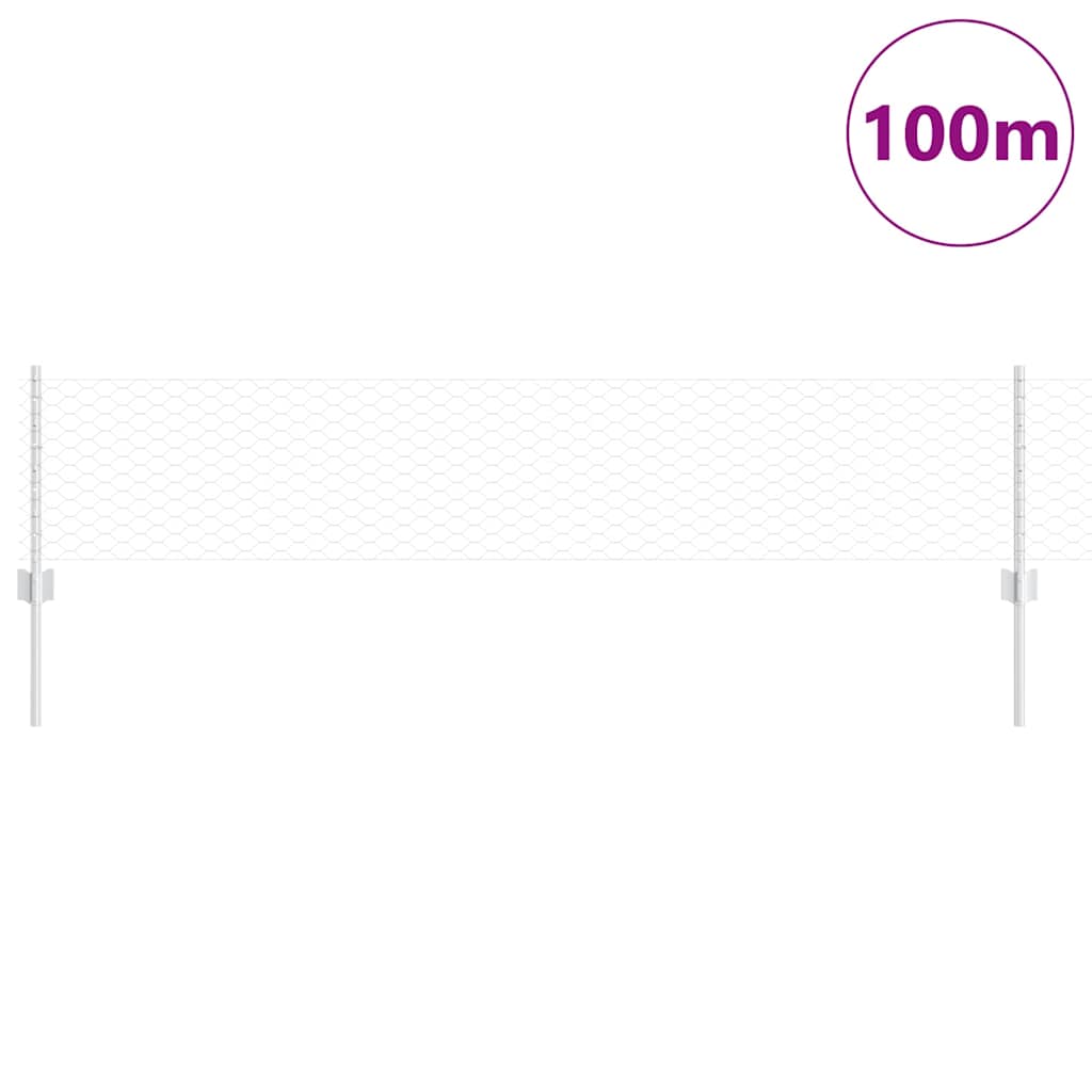 Fence with Post Silver 0.4 x 100 m Steel