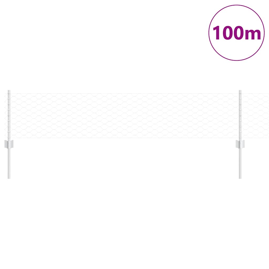 Fence with Post Silver 0.4 x 100 m Steel