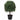 Artificial Tree Green 35 x 35 x 50 cm Plastic