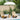 Balinese Parasol Cream (180-190) x 260 cm Cotton and solid wood