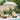 Balinese Parasol Cream (210-220) x 260 cm Cotton and solid wood