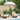 Balinese Parasol Cream (180-190) x 260 cm Cotton and solid wood