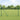 Hexagon Fence Green 1.6 x 100 m Steel