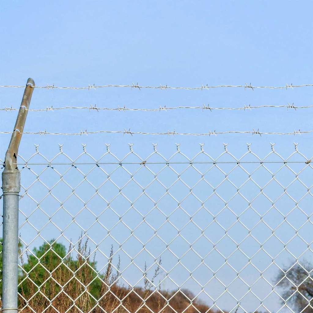 Barbed Wire Silver 50 m Hot-dip Galvanised Steel