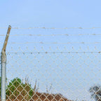 Barbed Wire Silver 100 m Hot-dip Galvanised Steel