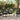 Garden Table Black 160 x 80 x 73 cm Solid Teak wood