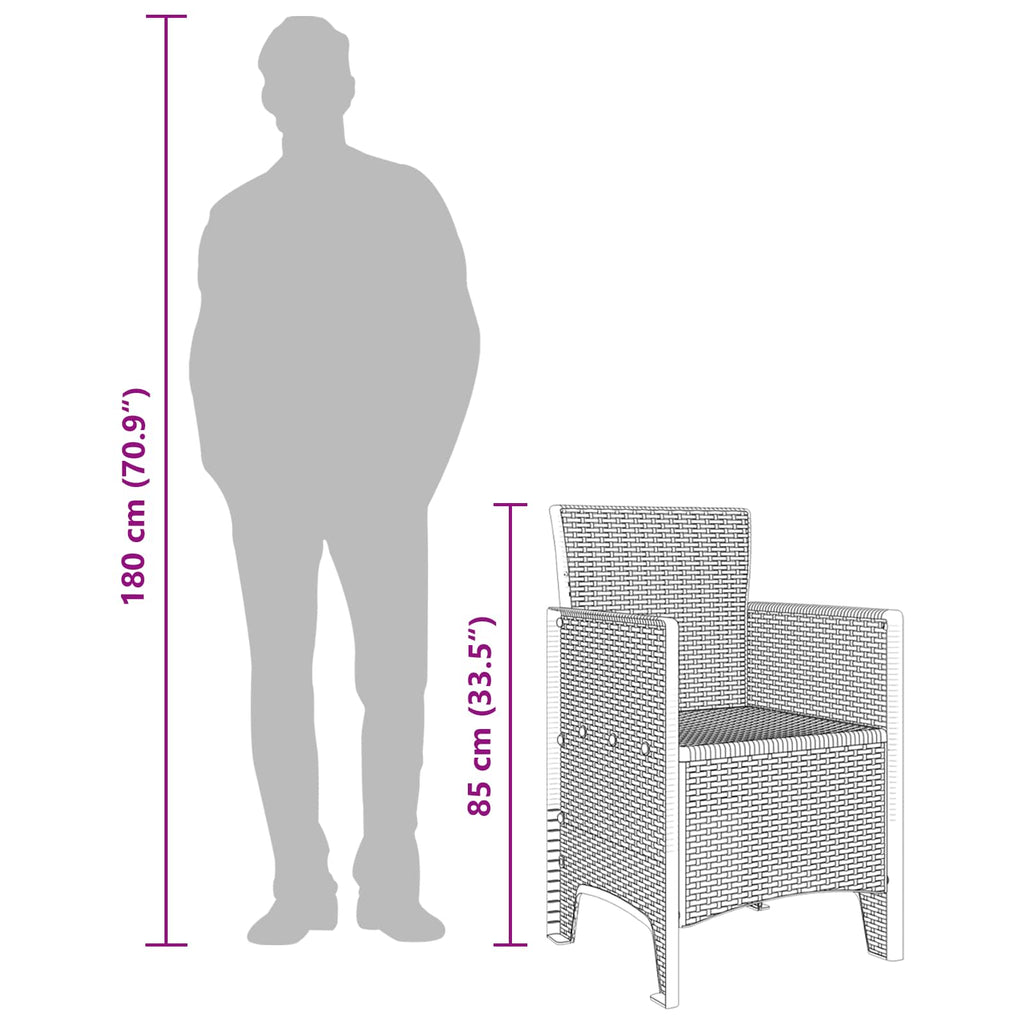 Garden Chair 2 pcs Brown 53 x 49 x 85 cm Polypropylene