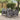 Garden Chair 4 pcs Light grey 53 x 49 x 85 cm PP