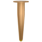 Standing Feet 2 pcs Gold 98 x 40 mm Iron
