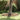 Garden Lawn Edging Silver 450 x 10 cm Stainless steel