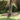 Garden Lawn Edging Silver 450 x 10 cm Galvanised steel