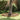 Garden Lawn Edging 4 pcs Rusty 450 x 10 cm Weathering steel