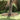 Garden Lawn Edging Silver 450 x 15 cm Stainless steel