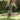 Garden Lawn Edging Silver 450 x 15 cm Galvanised steel