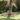 Garden Lawn Edging Silver 450 x 20 cm Stainless steel