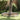 Garden Lawn Edging 4 pcs Silver 450 x 25 cm Stainless steel
