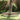 Garden Lawn Edging Silver 450 x 25 cm Galvanised steel