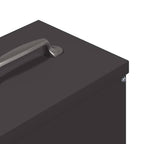 Chicken Feeder Black 20 x 25 x35 cm Cold-Rolled Steel