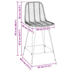 Bar Chair 2 pcs Black 44.5 x 54.5 x 97.5 cm Rattan and Iron
