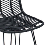 Bar Chair 2 pcs Black 44.5 x 53 x 111 cm Rattan and Iron