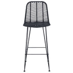Bar Chair 2 pcs Black 44.5 x 53 x 111 cm Rattan and Iron