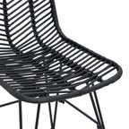 Dining Chair 2 pcs Black 44 x 47 x 85 cm Rattan and Iron