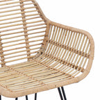 Dining Chair 2 pcs Natural 55 x 50 x 74 cm Rattan and Iron