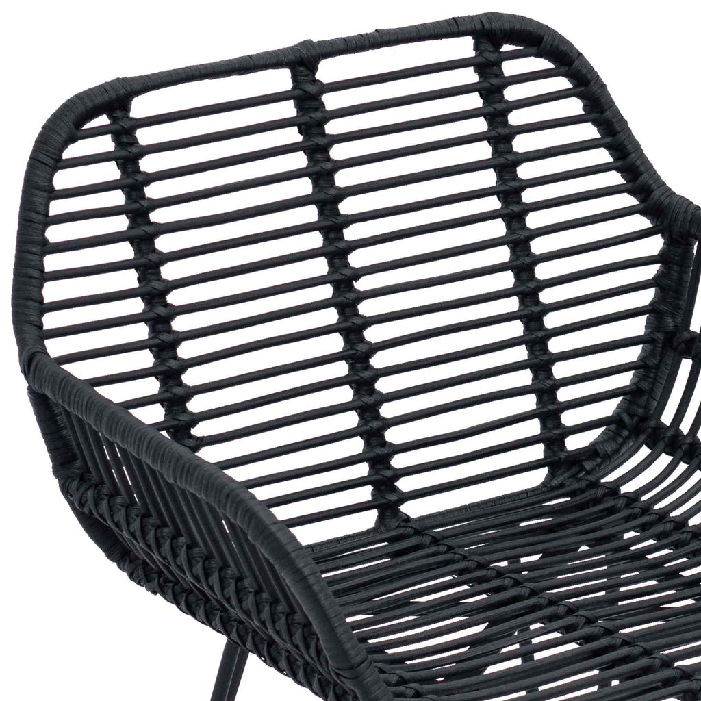 Dining Chair 2 pcs Black 55 x 50 x 74 cm Rattan and Iron